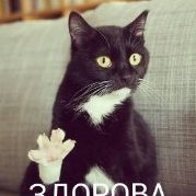 Сережа